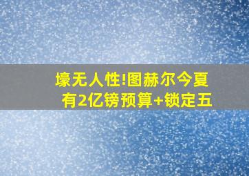 壕无人性!图赫尔今夏有2亿镑预算 锁定五